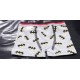 Boy Kid's Cotton Boxer 