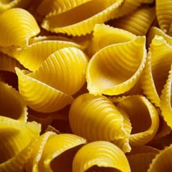 small seashells shaped Pasta small seashells shaped Pasta