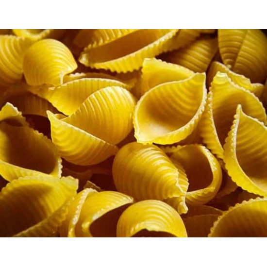 small seashells shaped Pasta