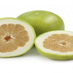 grapefruit grapefruit