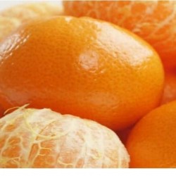 tangerine tangerine