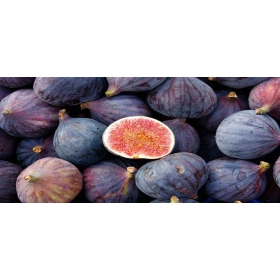 Fruit figs