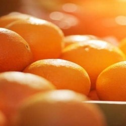 Orange Orange