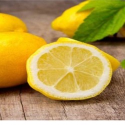 Lemon  Lemon