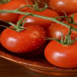 Tomatoes Tomatoes