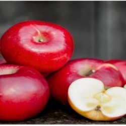 Apple Apple