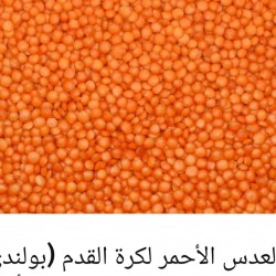 Polish red lentils Polish red lentils