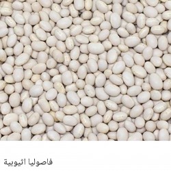 Ethiopian beans Ethiopian beans