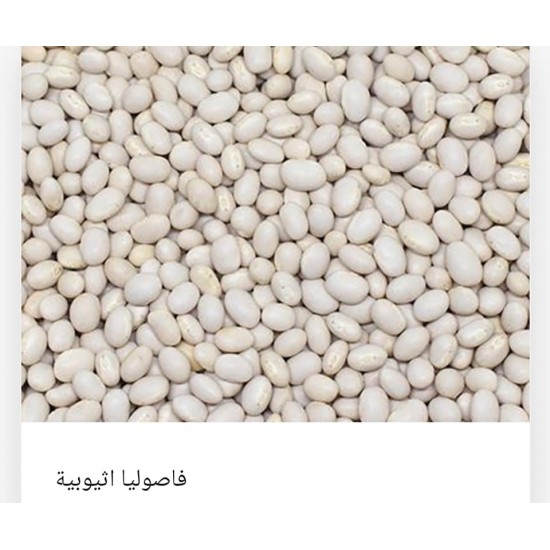 Ethiopian beans