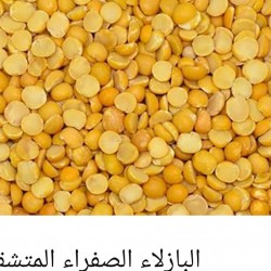 Cracked yellow peas Cracked yellow peas