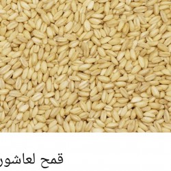 The wheat of Ashura The wheat of Ashura