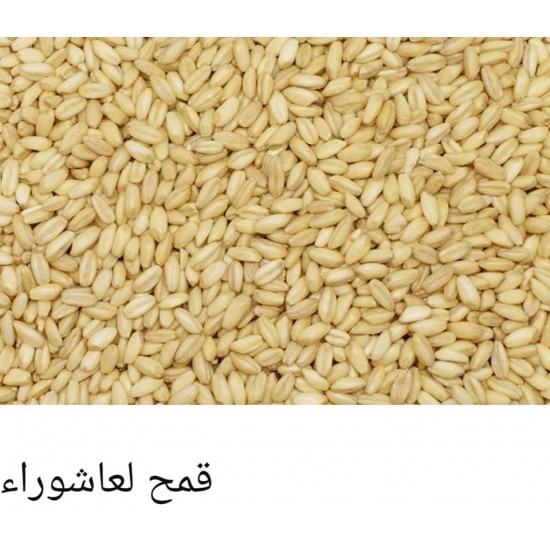 The wheat of Ashura