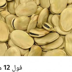 12 mm bean 12 mm bean
