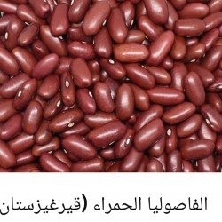 Red beans (Kazakhstan) Red beans (Kazakhstan)