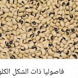 Beans are alkaline Beans are alkaline