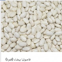 Lima bean  Lima bean