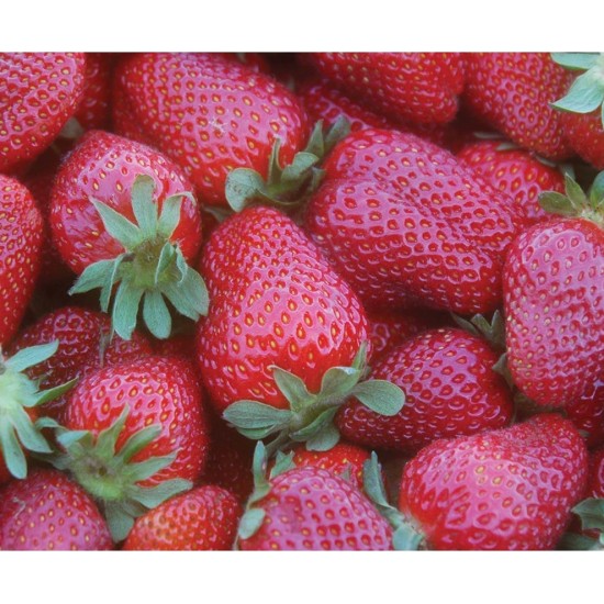 Strawberries