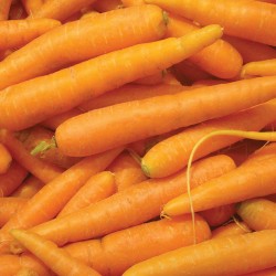 Carrots  Carrots