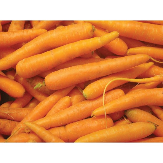  Carrots