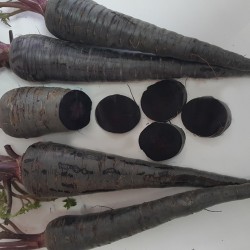 Black Carrots Black Carrots