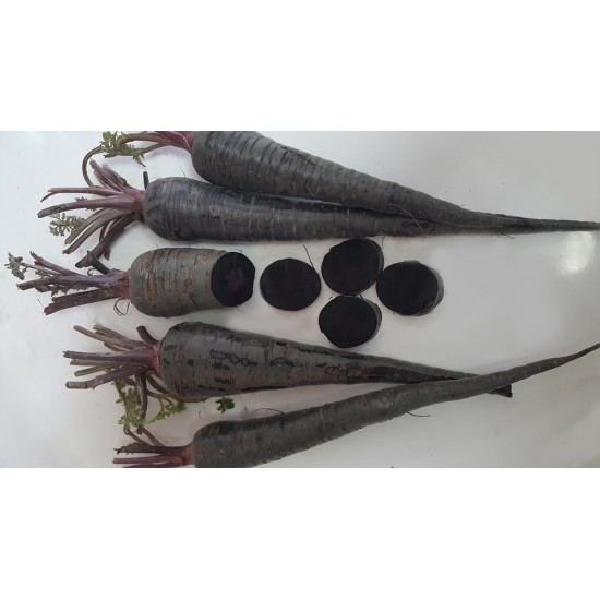 Black Carrots