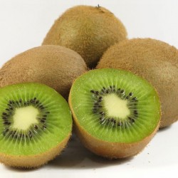 kiwi kiwi