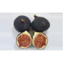  Fruit figs
