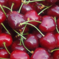 cherry Concentrated juice   cherry Concentrated juice