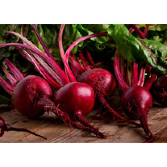 Red beet Concentrated juice